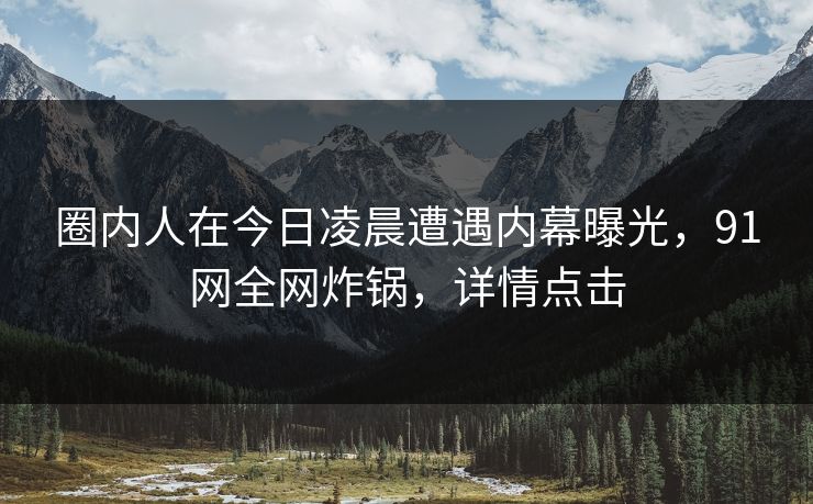 圈内人在今日凌晨遭遇内幕曝光，91网全网炸锅，详情点击