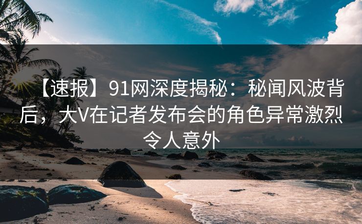 【速报】91网深度揭秘：秘闻风波背后，大V在记者发布会的角色异常激烈令人意外